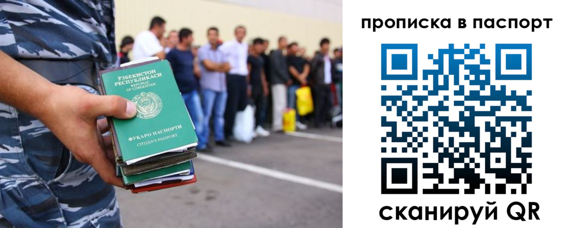прописка в квартире в Мончегорске