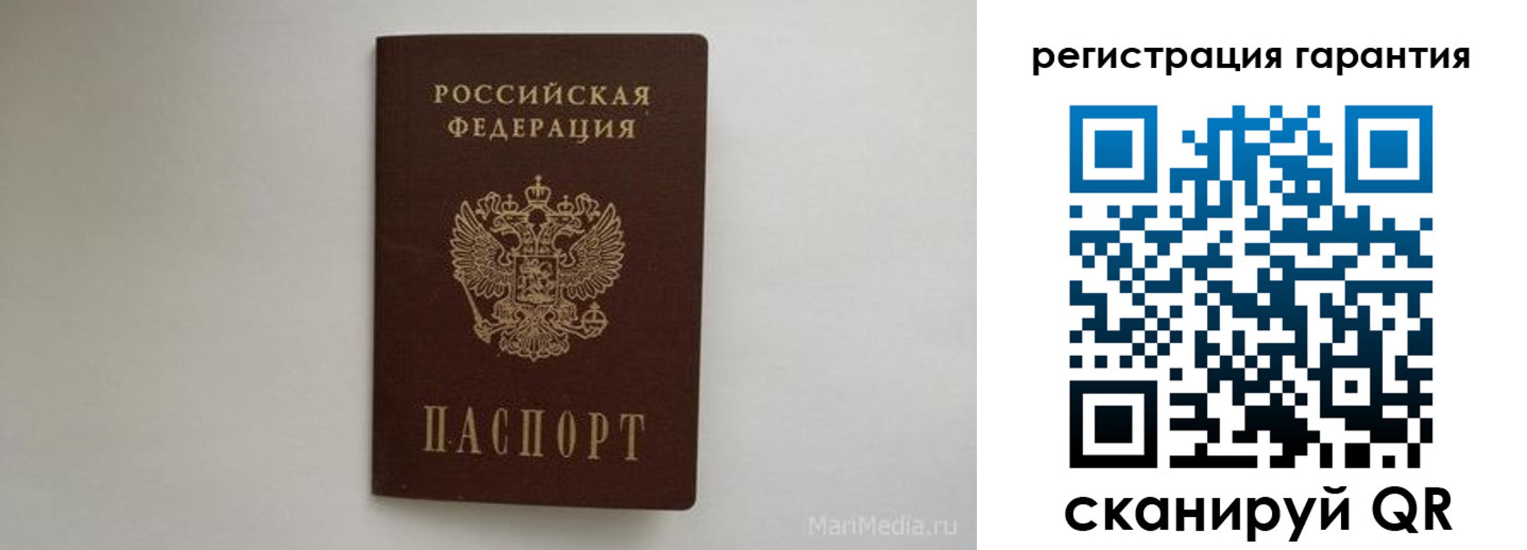 временная регистрация адрес в Мончегорске